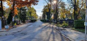 20201106_084508 (1)