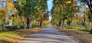 20201106_084559 (1)