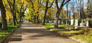 20201106_085200 (1)