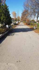 IMG-cd15923ea1bf39d055cc1767743011fc-V
